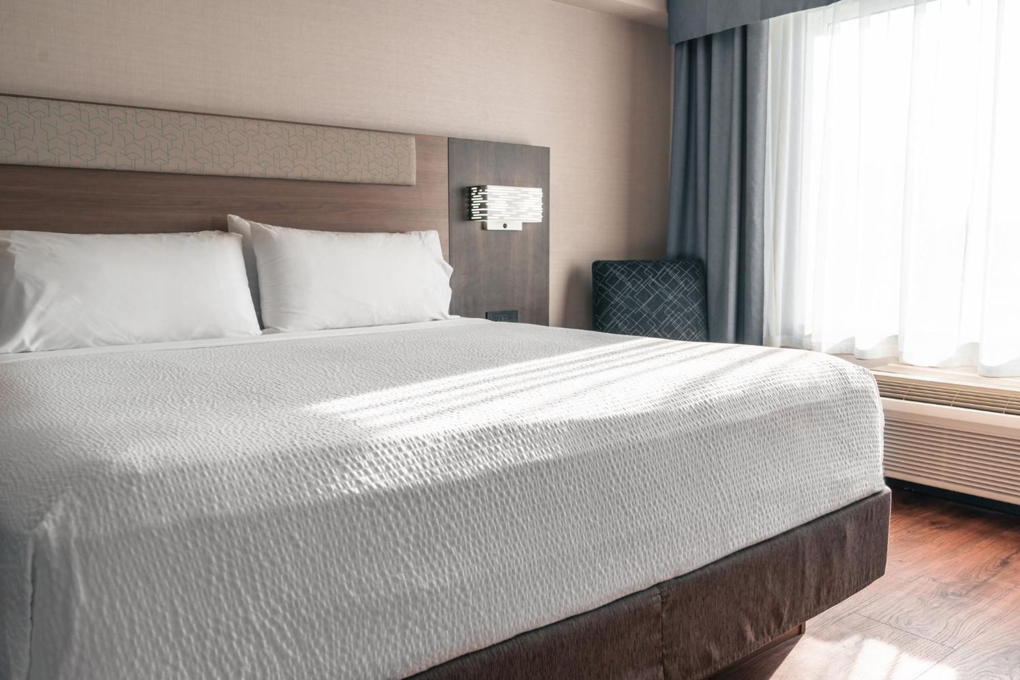Holiday Inn Express Kingston Central By Ihg Eksteriør billede